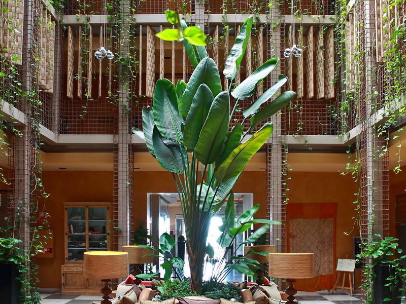 Hotel Photo 22