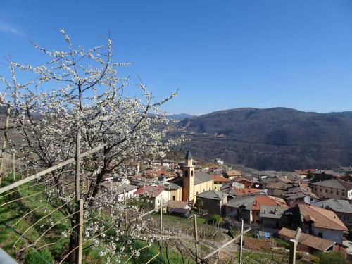 صورة الفندق 1