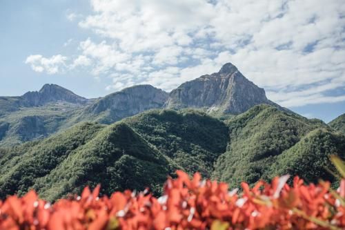 صورة الفندق 5