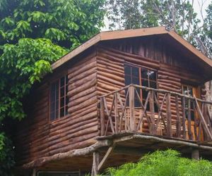 The Blue Mahoe Tree house Ocho Rios Jamaica