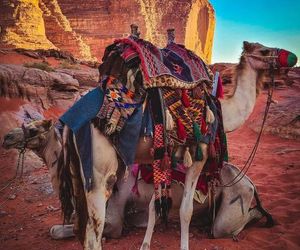 Bedouin Time Camp Ramm Jordan