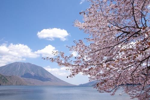 صورة الفندق 19