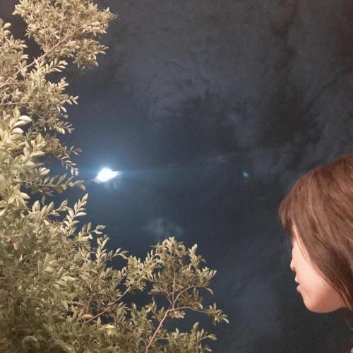 صورة الفندق 8