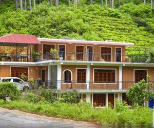 Pine Trees Homestay Nallathanniya Sri Lanka