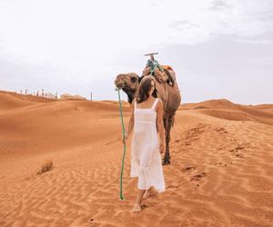 Desert Waves Mhamid Morocco