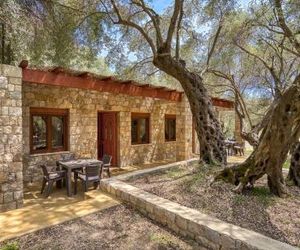 Stonehouse in Olives Ulcinj Montenegro