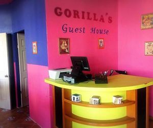 Gorilla´s Guest House Puebla Mexico