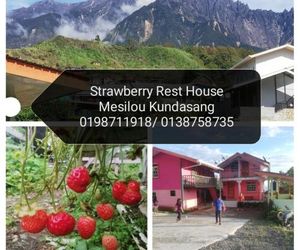 Strawberry Rest House Mesilou Kundasang Kundasang Malaysia