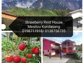 Фото отеля Strawberry Rest House Mesilou Kundasang