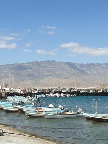 صورة الفندق 13