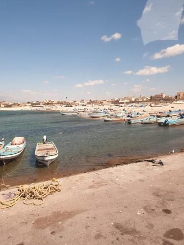 صورة الفندق 14