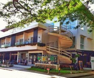 Treetop Suites Coron Philippines