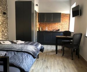 GoldenApartments Krakowskie Przedmieście 30 Lublin Luksusowy Apartament Lublin Poland