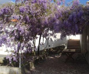 Enjoy the best of countryside Leiria Portugal