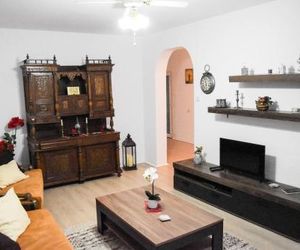Spacious and cozy 3BD+Terrace Couples Apartment Timisoara Romania
