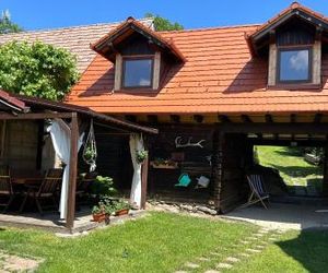 Casa veche “Old house” Sibiel Romania