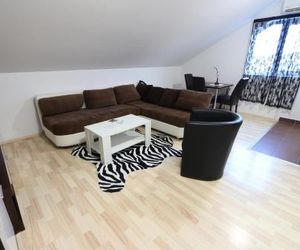 Apartmani Dunja Banja Aleksinacka Serbia