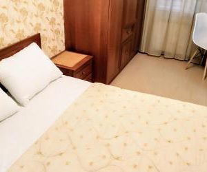 Comfortable luxury apartments Tula Russia