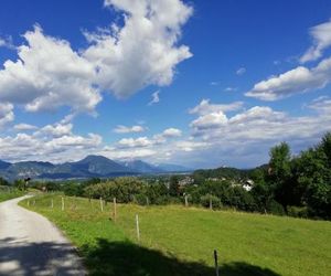 Tree Bled Slovenia