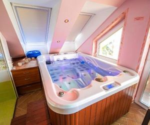 Luxury Holiday Home with Hot tub Leskovec Slovenia