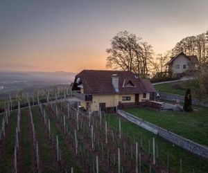 Vineyard cottage Hočevar Novo Mesto Slovenia