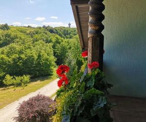 Apartma med vinogradi Lendava Slovenia