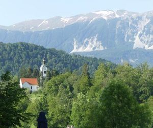 Apartmaji Baron Bled Slovenia