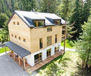 Chalet Tatra Bear Demanovska Dolina Slovakia