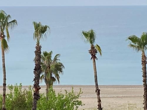 صورة الفندق 8