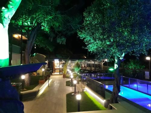 Hotel Photo 11
