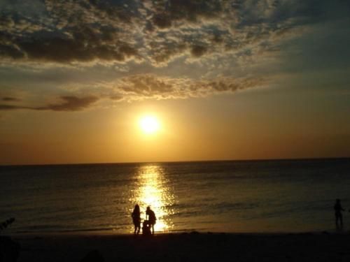 صورة الفندق 13