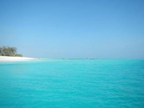 صورة الفندق 8