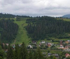 Біля лісу Slavskoye Ukraine