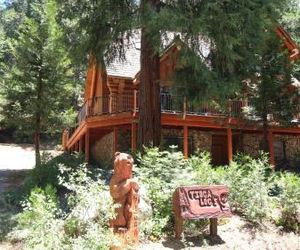 Tioga Logs Yosemite West United States