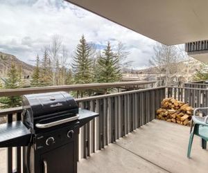 1 Bath Studio Apartment in Snowmass Village Snowmass Village United States