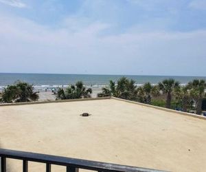 The Palace 105 Myrtle Beach United States