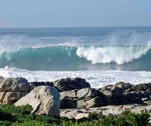 Whales & Waves Hermanus South Africa