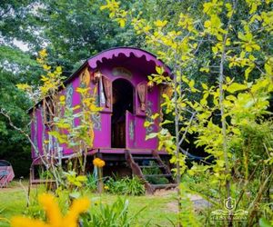 Gypsy Wagons Clarens Letselaskraal South Africa