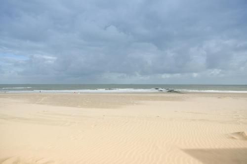صورة الفندق 15