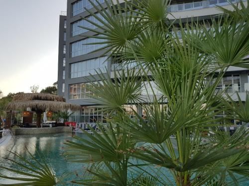 صورة الفندق 14