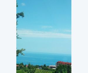 Гостевой дом "На Виноградной 9Д" Jalta Autonomous Republic of Crimea