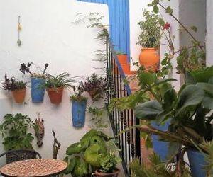 La Lectora Vejer de la Frontera Spain