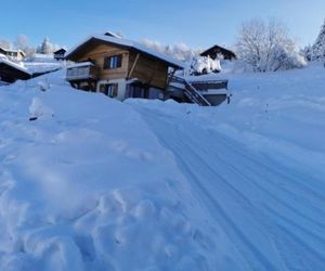 Le chalet du Brabant à 200 mètres des pistes La Bresse France