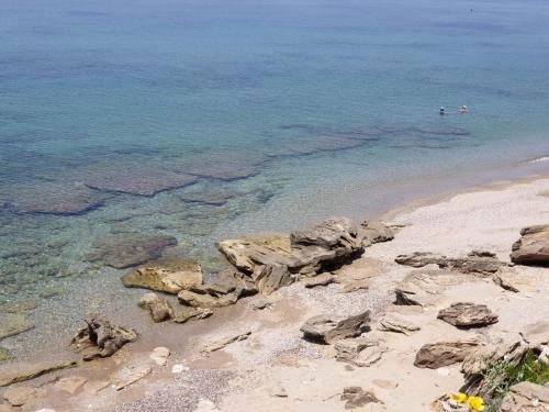 صورة الفندق 21