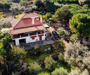 Villa Eirini with sea view Palaia Epidhavros Greece