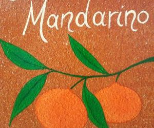 Appartamento Il Mandarino Marciana Italy
