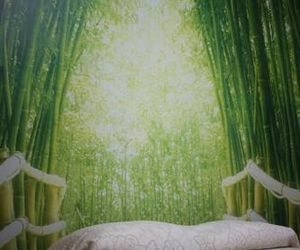 LA CASA DELLORSO Ciampino Italy
