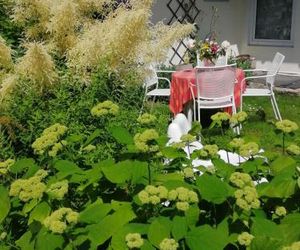 Secret garden house in the center of Sigulda Sigulda Latvia