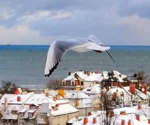 Pokoje przy plaży Sopot Poland