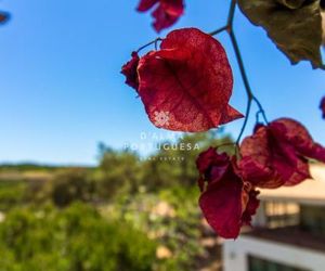 Falésia Beach Apartment - DAlma Pine Sun Park Aldeia das Acoteias Portugal
